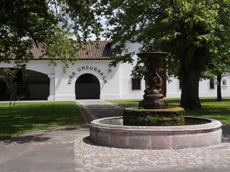 Vinhedo Undurraga